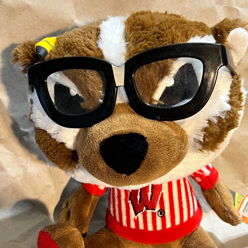 Fabrique Innovations Wisconsin Bucky Badger Plush Study Buddies Team Nerds Brown - Picture 2 of 8